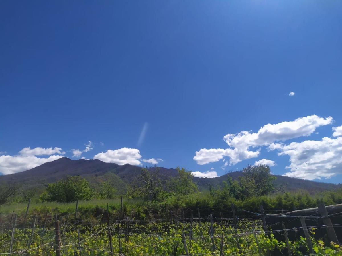 L'Orto Del Vesuvio Di Laura Guidone Acomodação com café da manhã San Sebastiano al Vesuvio Exterior foto